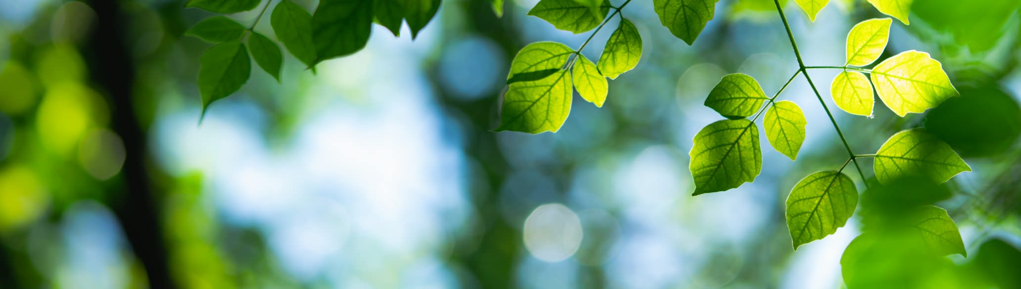 環境保全と技術革新